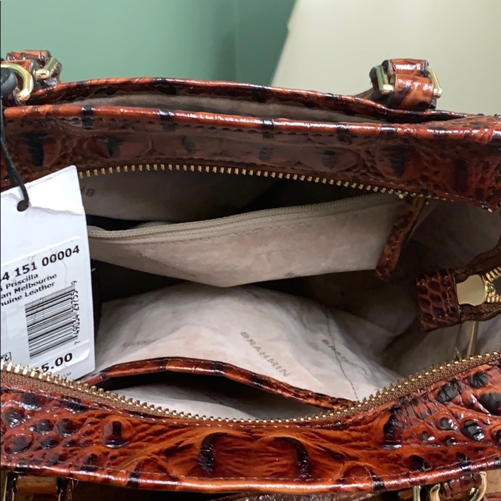 Brahmin - Picture 2 of 3